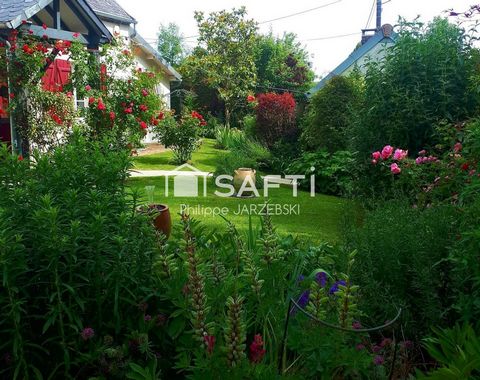photo no. 17
