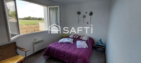 photo no. 8