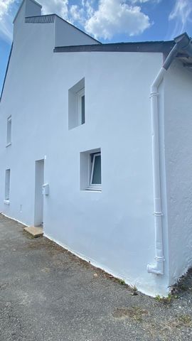 photo no. 8