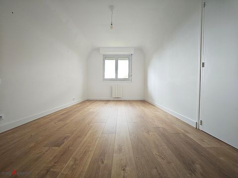 photo no. 7