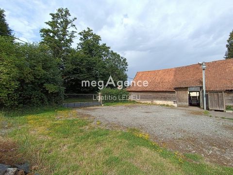 photo no. 13