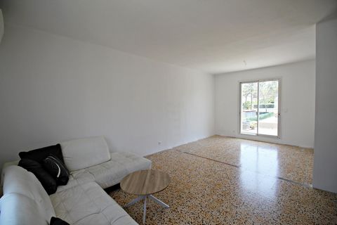 photo no. 8