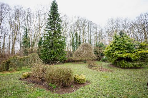 photo no. 17