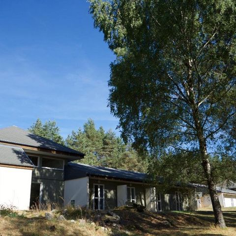 photo no. 6