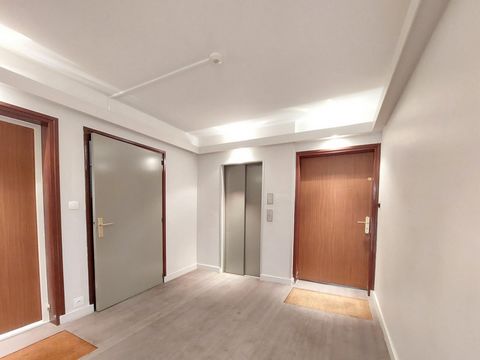 photo no. 8