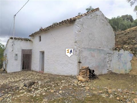 This Cortijo is located on the outskirts of the famous town of Iznajar, in the province of Córdoba, in Andalusia. In iznajar you can find all kinds of establishments, bars, restaurants, schools, doctors, shops, supermarkets. This Cortijo is located o...