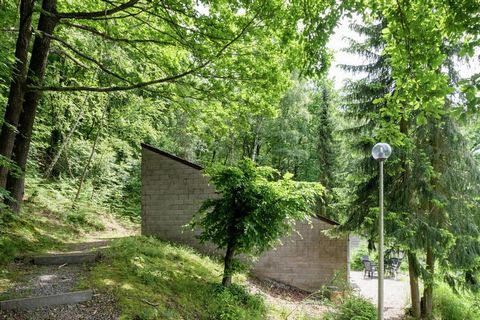 Dieser schöne und geräumige Ferienbungalow steht in einem sehr ruhig gelegenen Park in den Ardennen, wo Sie ganz ungestört sind. Der Park liegt ganz in der Nähe der berühmten Wasserfälle von Coo. Der Bungalow befindet sich am Hang und bietet eine sch...
