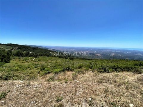 Land located in a quiet area of good access in Monchique, with excellent views of the coast, Portimão and lakes. It has a total area of 9688sqm, south - west solar orientation, public water. It has the feasibility of building a hotel unit with a capa...