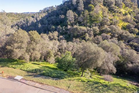 Indulge in the Ultimate Lake Living Experience at Lake Berryessa! Imagine crafting your ideal sanctuary amidst the captivating landscapes of the Berryessa Highlands subdivision in Napa. Set against a backdrop of serene canyons and verdant woodlands, ...