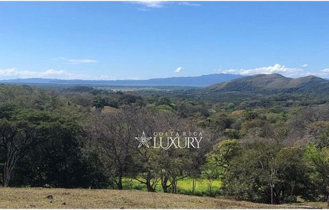 Reference number: 19656 Ranches, Cattle and Agriculture Farms and Haciendas for Sale in Costa Rica For sale:  Upon Request Listing agent: Andres Herrera Basic data: Department (Province): Guanacaste and Puntarenas. Plot area (land) hectares: over 2,0...