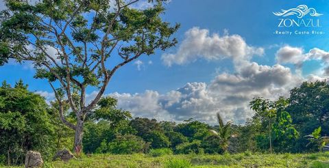 Nestled in the heart of Santa Fe, this extraordinary 1.5-hectare property offers an unparalleled opportunity to embrace the essence of Costa Rica's lush natural beauty. With 5 meticulously crafted platforms offering breathtaking forest views, direct ...