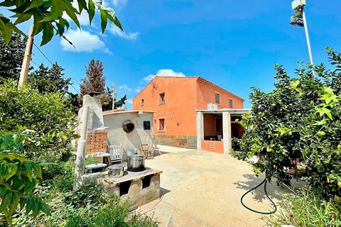 16.000 m² plot of land with frontage to the river Ebro, planted with citrus trees, located 5 minutes from Tortosa. Inside there are two completely independent houses. The larger building has a constructed area of 307 m², of which approx. 286 m² corre...