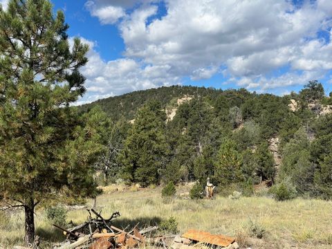 Escape to your own private mountain retreat with this beautiful 6-acre property located just 30 minutes southwest of Canon City, Colorado. With close proximity to over 8,000 acres of BLM public lands, this lot offers endless opportunities for outdoor...