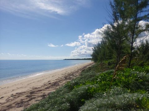 Imagine owning a piece of paradise in the Bahamas---a pristine beachfront lot spanning 2.32 acres. This breathtaking slice of tropical heaven offers endless possibilities for your dream retreat. Wake up to the soothing sound of waves, feel the soft s...