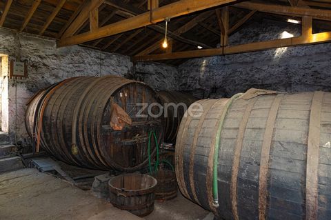 Identificação do imóvel: ZMPT554020 Farm with 29 ha located in the Douro wine region, in Senhora da Ribeira, Seixo de Ansiães. With production of letter A port wine, with the benefit of 18 barrels, DOC Douro wine, Olival and Orange groves. The main g...
