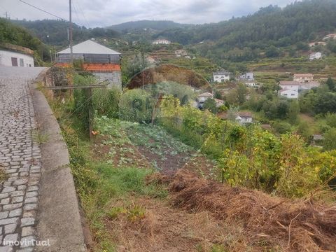 Land located in Travanca, inserted in construction zone according to consultation of the PDM. With national road front. Excellent investment. Book your visit!