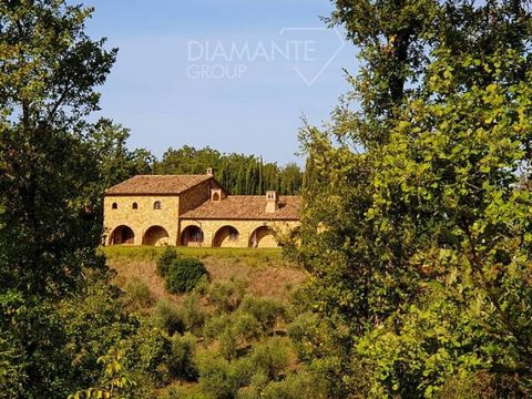GAVORRANO (GR) Surrounding area, wine-growing farm of approximately 87 hectares of land with farmhouse, cellar and tool shed. The land is hilly and is divided as follows - 12 hectares of specialised vineyards of quality Sangiovese, sirah, alicante, v...