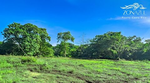 Ubicado en una zona serena y pintoresca, este versátil terreno de 15.000 m² (3,71 acres) ofrece oportunidades comerciales y residenciales con una generosa superficie edificable del 75%. Este terreno plano proporciona una base ideal para sus planes de...