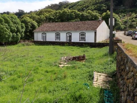 Two urban plots with a total of 1,686 m2 (726 m² + 960 m²), separated by the road, located in the parish of Fontinhas, municipality of Praia da Vitória, Terceira Island, Azores. On one of these plots there is a ruin with 45 m². Land with potential fo...