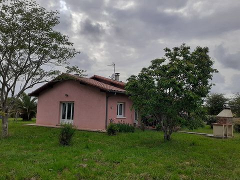 photo no. 4