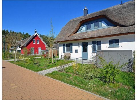 Halfvrijstaand huis met rieten dak over 2 verdiepingen, liefdevol ingericht met sauna en open haard, 600 meter van het zandstrand van de Oostzee, maximaal 5 personen met 2 slaapkamers