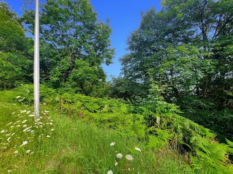 En el valle de Saint-Amarin en Fellering, 68470, le invito a descubrir en exclusiva esta parcela de 34 áreas ubicada en lo alto del pueblo. Construya su futuro hogar en esta soleada parcela de montaña que no se pasa por alto. Disfrutarás de un entorn...