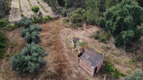 Rustikales Grundstück zum Verkauf zwischen dem Dorf Garridas und Barrocas in Santo André das Tojeiras. Mit einer Gesamtfläche von 6240 m2 und einer Wassermine ist dieses Anwesen ideal für die Landwirtschaft und einen netzfernen Lebensstil. Der Zugang...