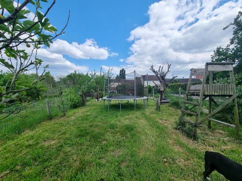 photo no. 14