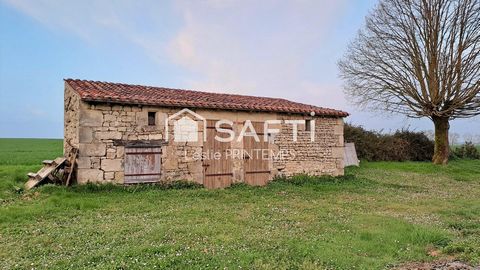 photo no. 15
