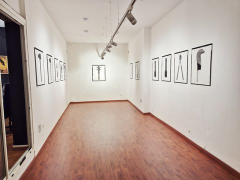 photo no. 6