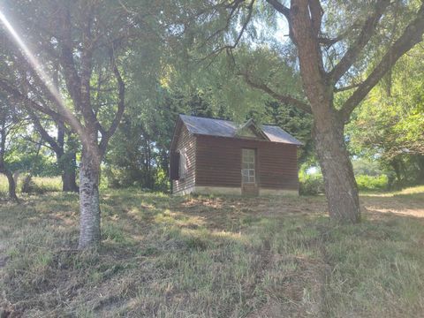 photo no. 2