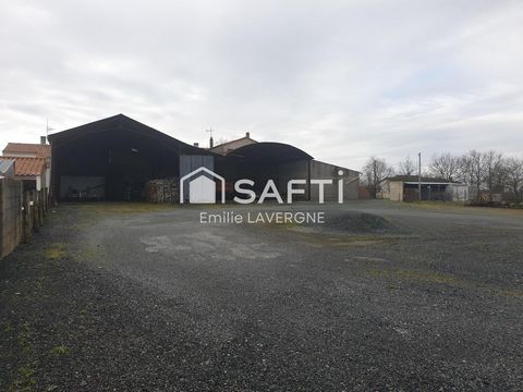 photo no. 13