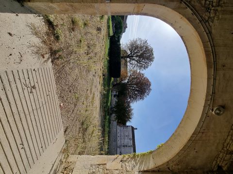 photo no. 10