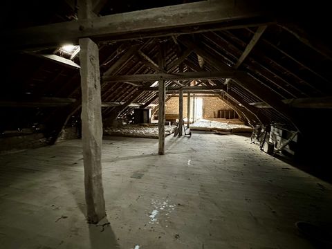 photo no. 20