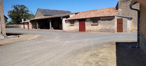 photo no. 1