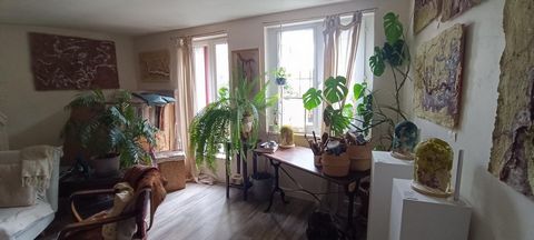 jolie maison de ville