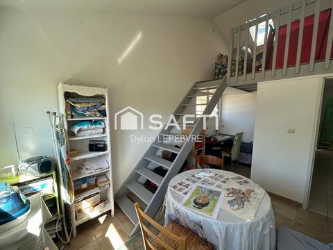 photo no. 8