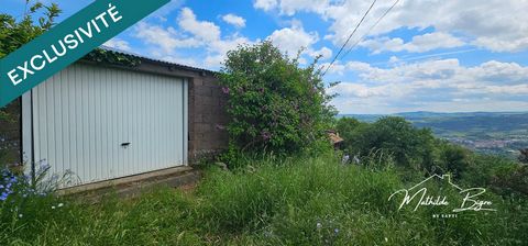 photo no. 12