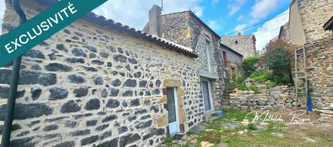 photo no. 14