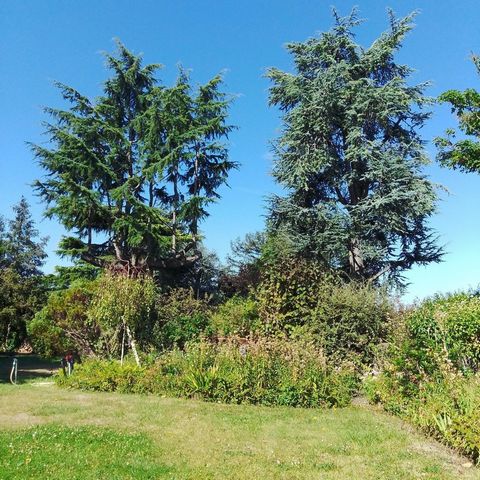 photo no. 15