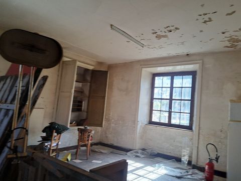 photo no. 9