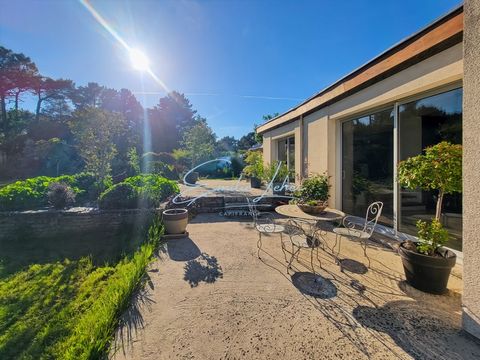 Caudan - Magnifique maison MidCentury, terrain 1ha avec étang, puits, hangar, atelier, serres!