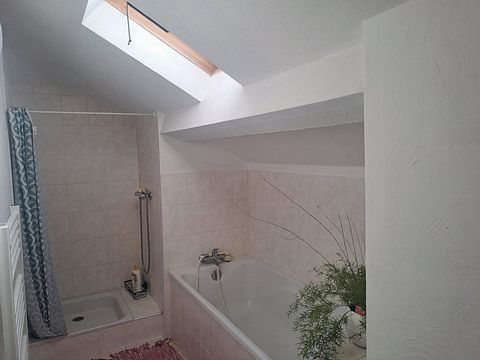 photo no. 9