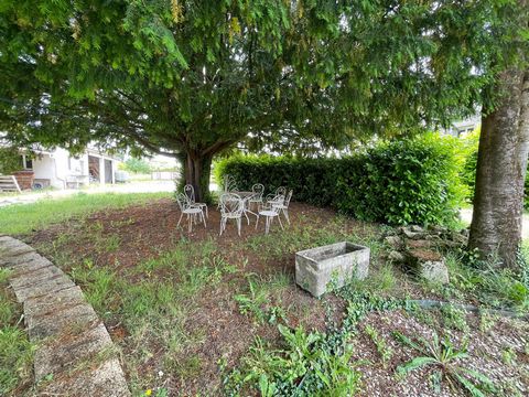 photo no. 10