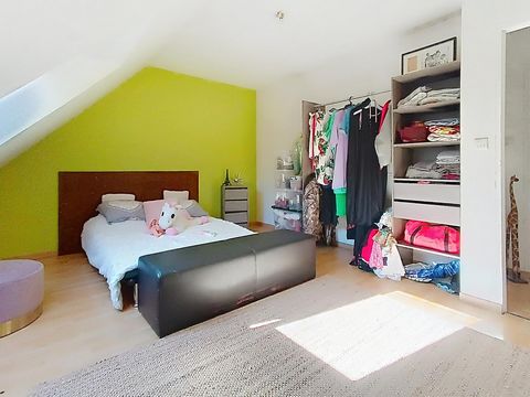 photo no. 7