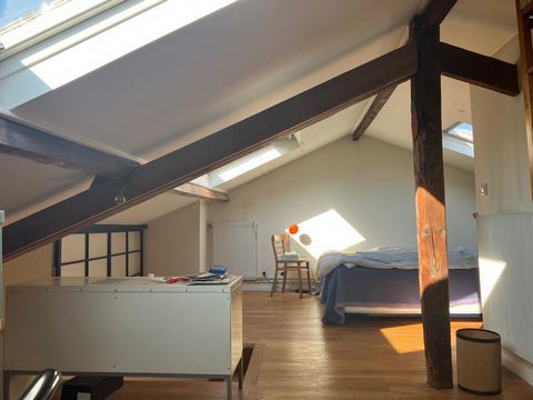 photo no. 10