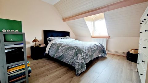 photo no. 11