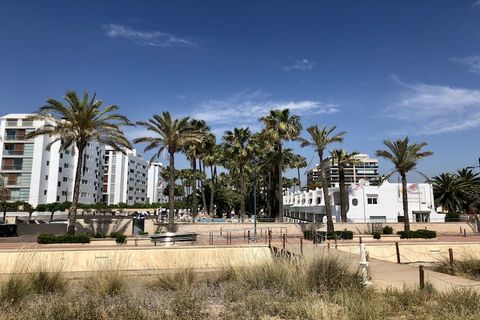 Los apartamentos forman parte de un complejo vacacional con mucha vegetación y ubicado directamente sobre la costa, solo separado de las hermosas y amplias playas por el paseo marítimo. El complejo consta de varios edificios donde se encuentran los a...