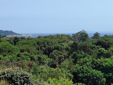 photo no. 1