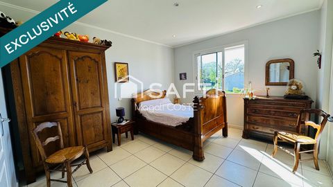 photo no. 12